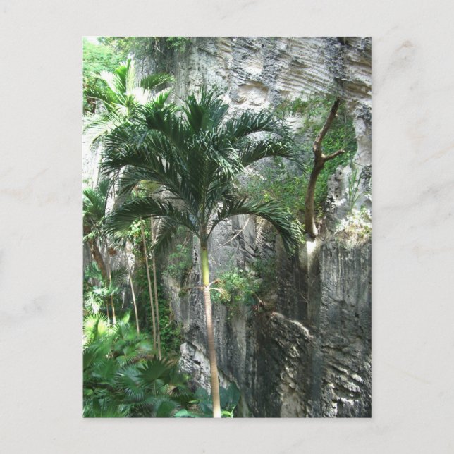 Königstreppe Postkarte (Vorderseite)