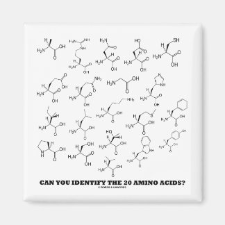 Können Sie die 20 Aminosäuren identifizieren? (Che Magnet