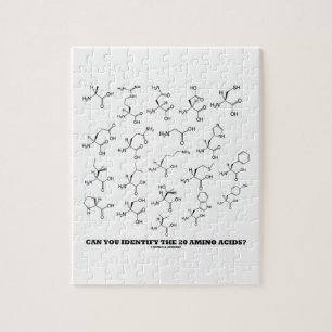 Können Sie die 20 Aminosäuren identifizieren? (Che Puzzle