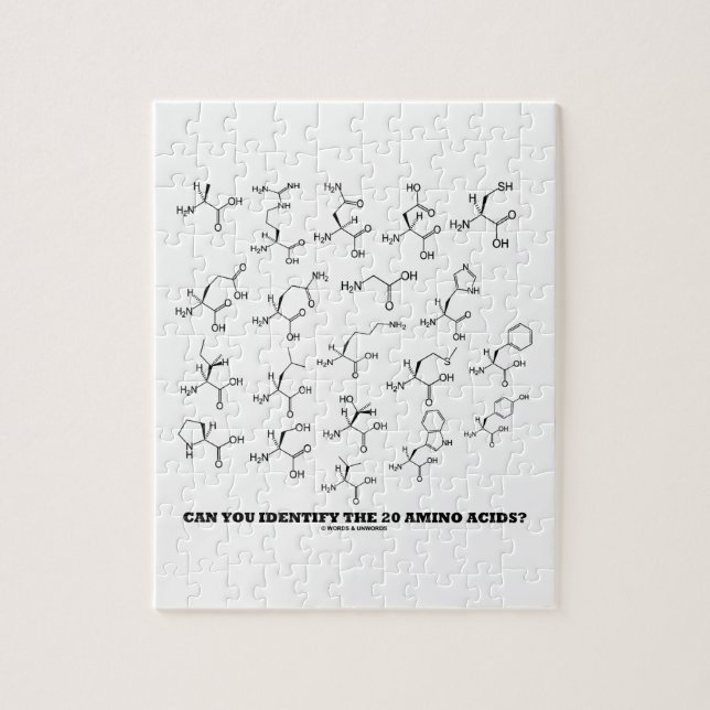 Können Sie die 20 Aminosäuren identifizieren? (Che Puzzle (Vertikal)