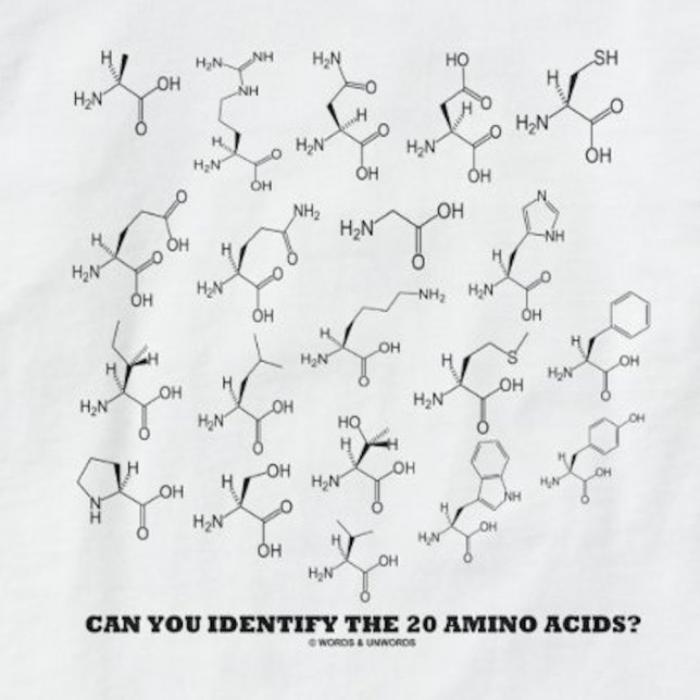 Können Sie die 20 Aminosäuren identifizieren? Chem T-Shirt (Tee featuring the scientific query "Can You Identify The 20 Amino Acids?")