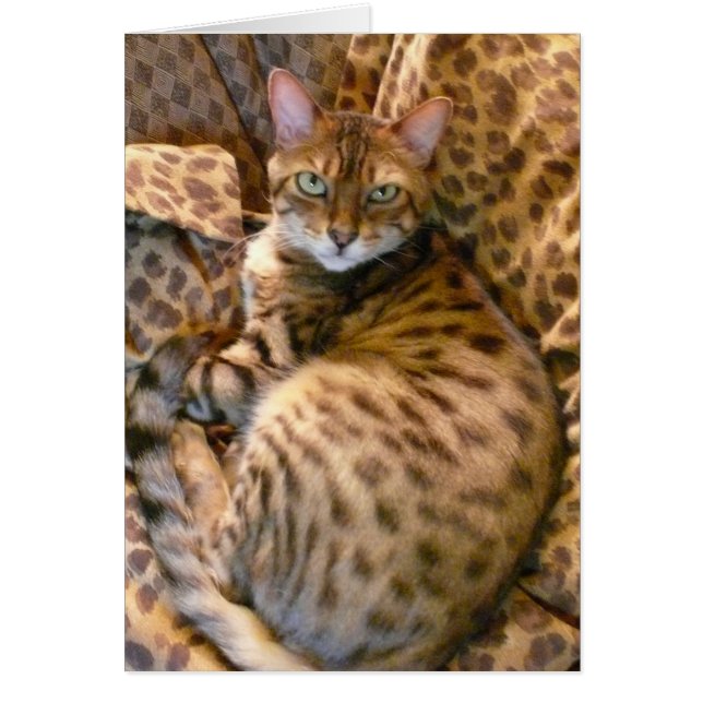 Können Sie mich sehen? (Vorne)