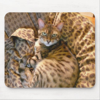 Können Sie mich sehen? Mousepad