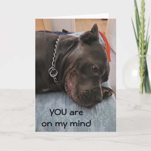 KÖNNEN SIE NICHT ÜBERLEGEN/IHNEN ZU KARTE VERMISST (Vorderseite)