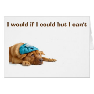 KÖNNEN *VERMISST SIE* DIESES PUP UND DAS PUP NICHT