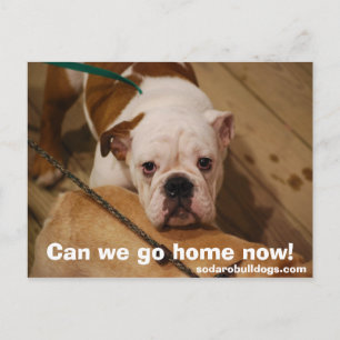 Können wir jetzt Zuhause gehen? Postkarte