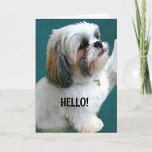 KÖNNTEN NICHT WARTEN, ZU SAGEN *GLÜCKLICHER GEBURT KARTE