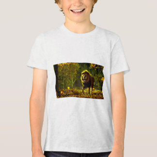 Könnten Sie klarstellen, welche Art von Titel Sie  Tri-Blend Shirt