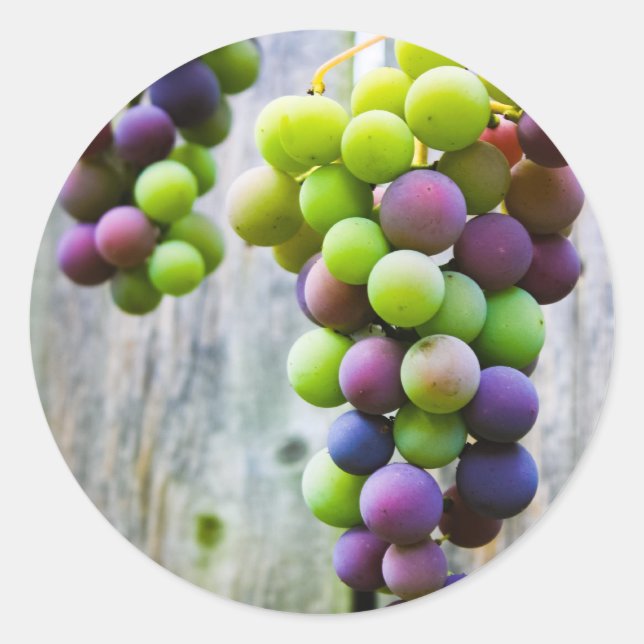 Konservenetikett Runder Aufkleber (Vorderseite)