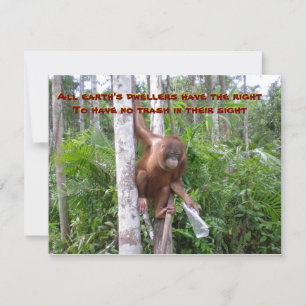 Konservierung, keine Kunststoffverschmutzung Karte