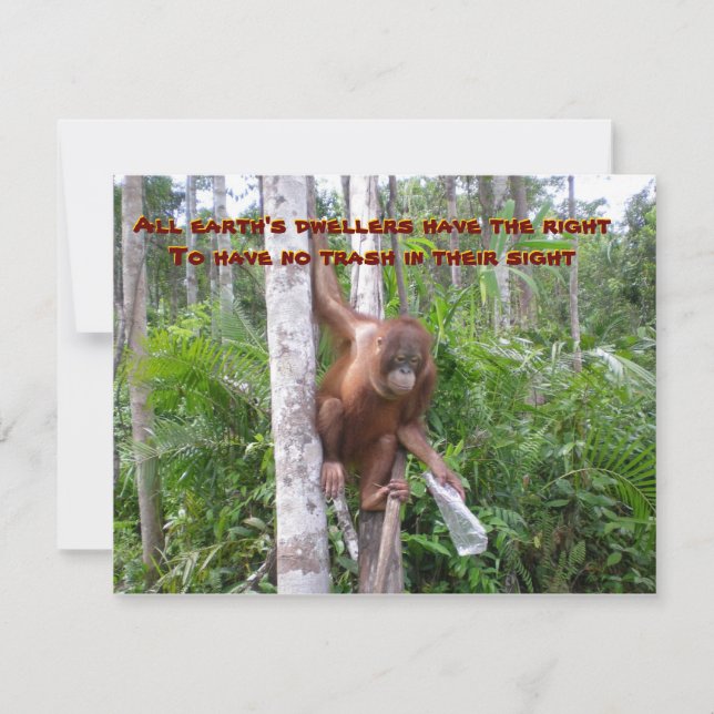 Konservierung, keine Plastikverschmutzung Karte (Vorderseite)