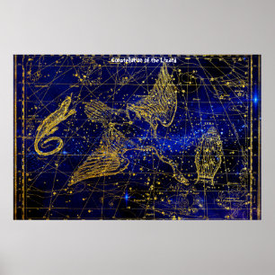 Konstellation der Lizard Poster