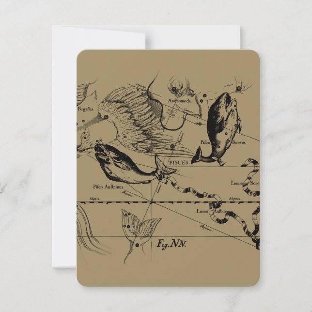 Konstellation von Pisces Hevelius 1690 Feb19 - Mär (Vorderseite)