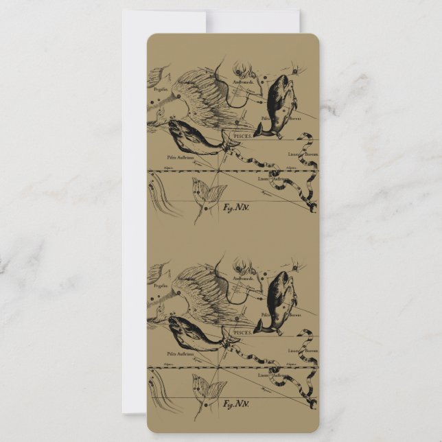 Konstellation von Pisces Hevelius 1690 Feb19 - Mär (Vorderseite)