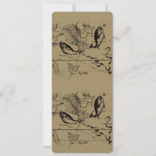 Konstellation von Pisces Hevelius 1690 Feb19 - Mär