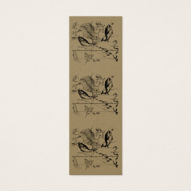 Konstellation von Pisces Hevelius 1690 Feb19 - Mär (Vorderseite)