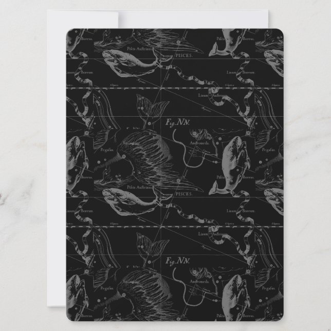 Konstellation von Pisces Hevelius 1690 Feb19 - Mär (Vorderseite)