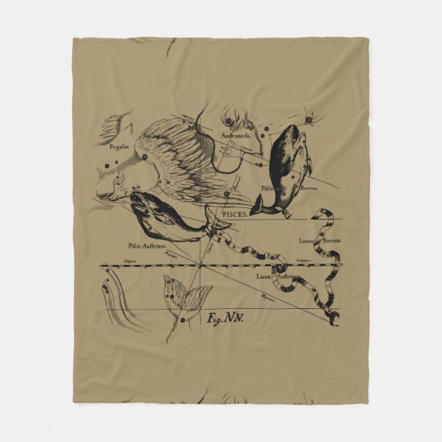 Konstellation von Pisces Hevelius 1690 Feb19 - Mär Fleecedecke (Vorderseite)