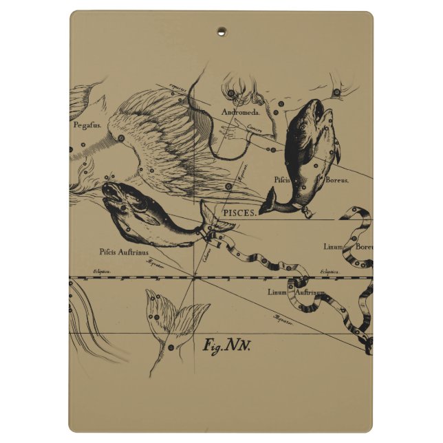 Konstellation von Pisces Hevelius um 1690 Klemmbrett (Rückseite)