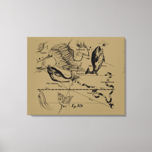 Konstellation von Pisces Hevelius um 1690 Leinwanddruck (Vorderseite)
