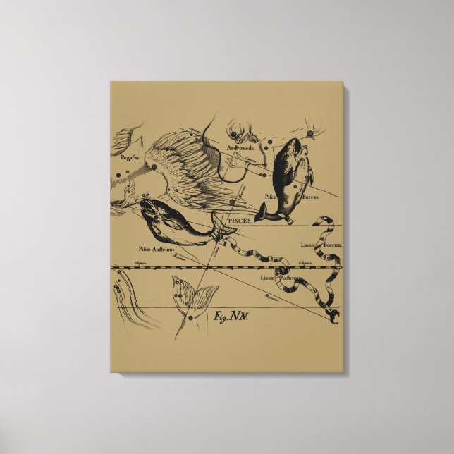 Konstellation von Pisces Hevelius um 1690 Leinwanddruck (Vorderseite)