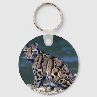 Kontakt mit gedecktem Leoparden Schlüsselanhänger