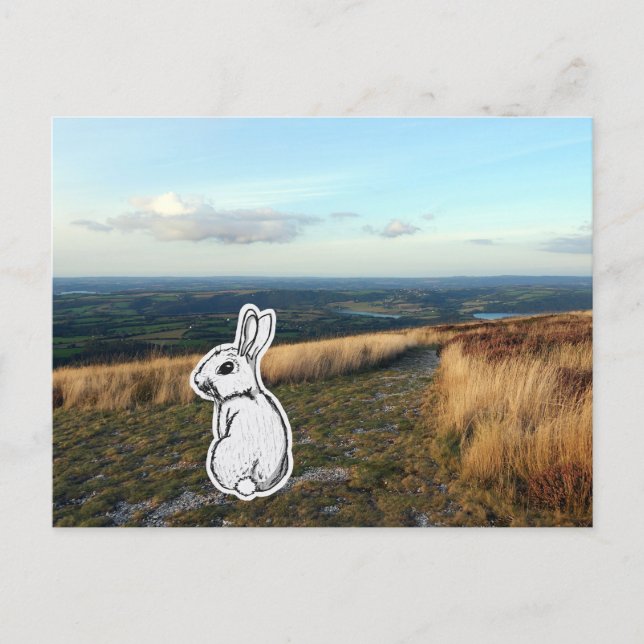 Kontemplativer Hase Postkarte (Vorderseite)