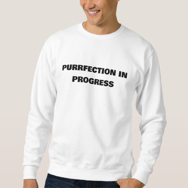 "Kontrolle im Gange" Sweatshirt (Vorderseite)