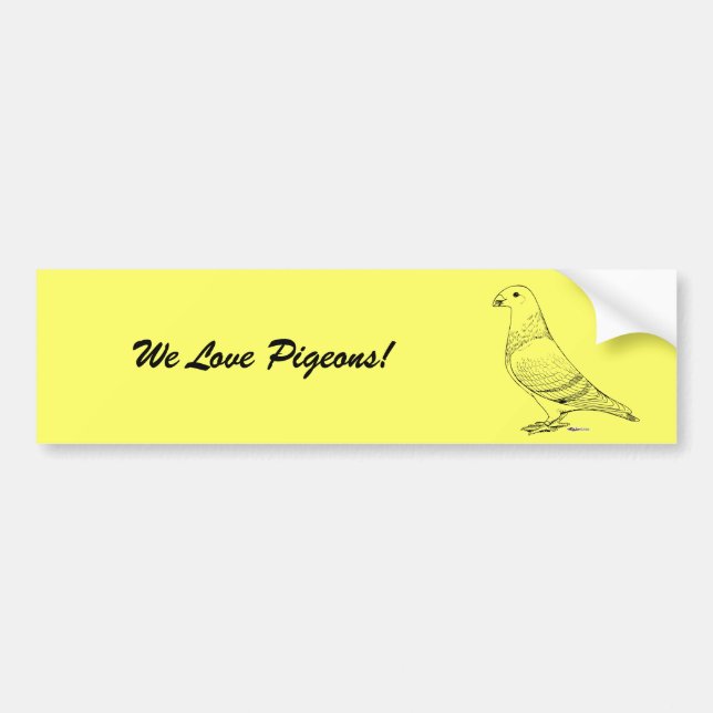 Kontur anzeigen autoaufkleber (Vorne)