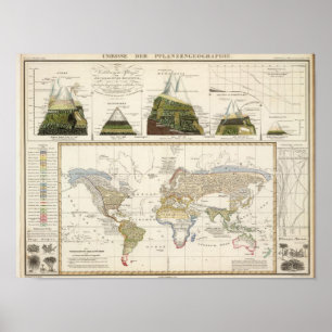 Kontur der Geografie der Pflanze Poster