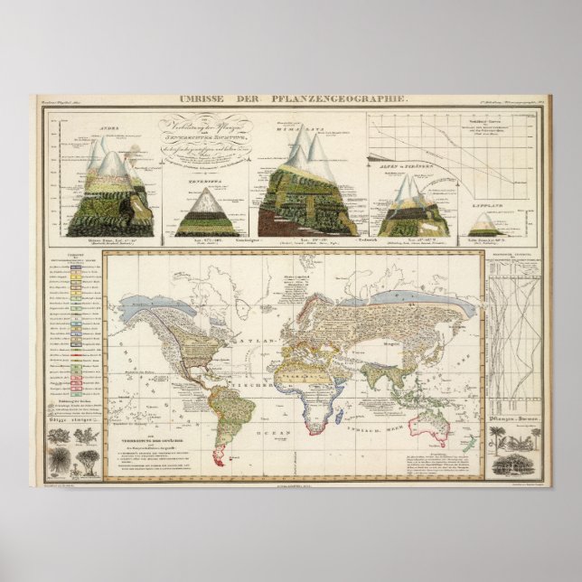 Kontur der Geografie der Pflanze Poster (Vorne)