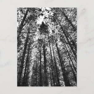 Konvertieren von Bäumen Postkarte