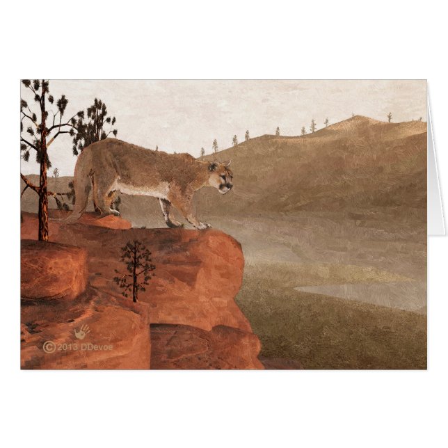 Konzentration - Cougar (Vorderseite (Horizontal))