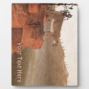 Konzentration - Cougar Fotoplatte