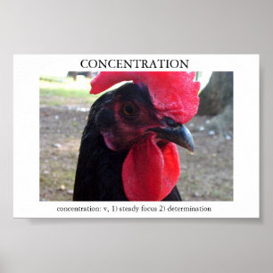 Konzentration Poster