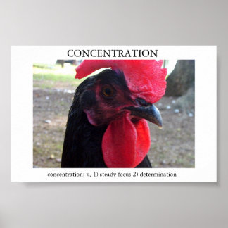 Konzentration Poster
