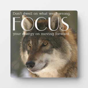 Konzentriertes Zitat zur "Wolf Image Encourement P Fotoplatte