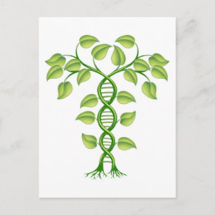 Konzept der DNA-Pflanze Postkarte