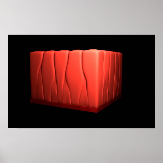 Konzept des gepseudostratifizierten Kolumnar-Epith Poster (Vorne)