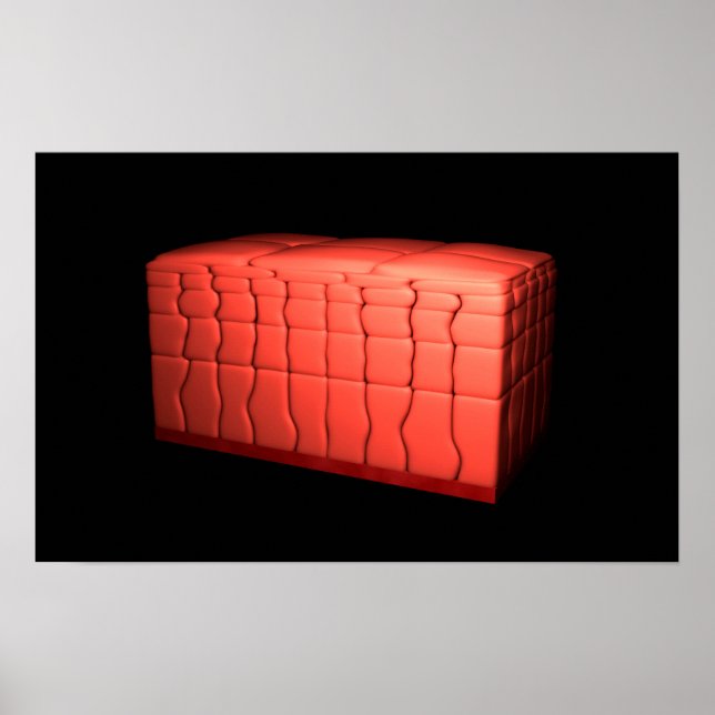 Konzept des ratifizierten Plattenepithels 1 Poster (Vorne)