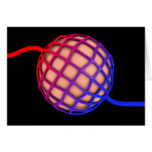 Konzeptbild von Alveolus