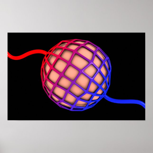 Konzeptbild von Alveolus Poster (Vorne)