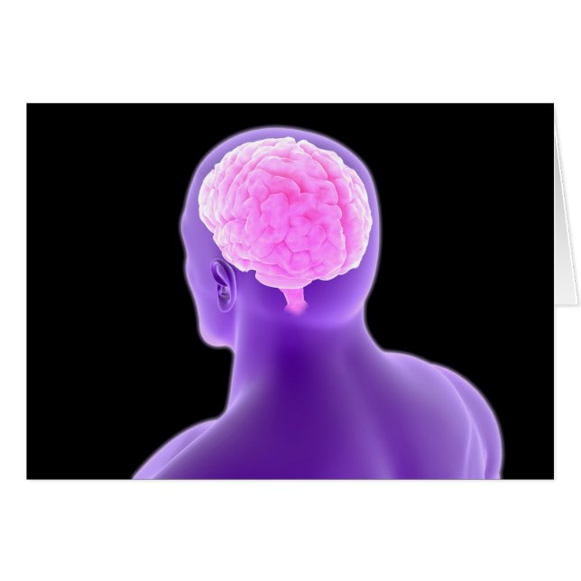 Konzeption des menschlichen Gehirns 9 (Vorderseite (Horizontal))