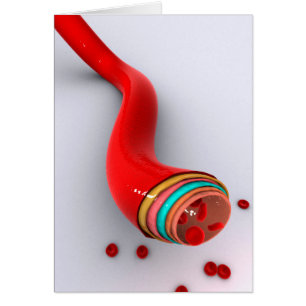 Konzeption eines Blutschiffes