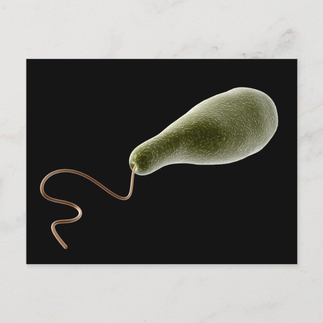 Konzeptionelles Bild von Euglena 2 Postkarte (Vorderseite)