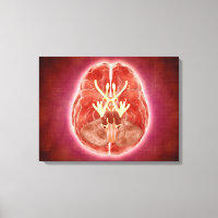 Konzeptuelles Bild der SchädelNerven im Gehirn