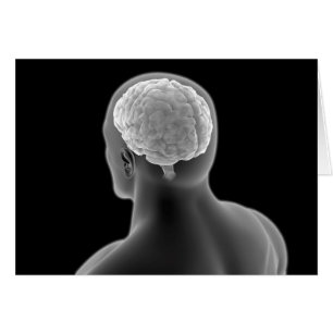 Konzeptuelles Bild des menschlichen Gehirns 2