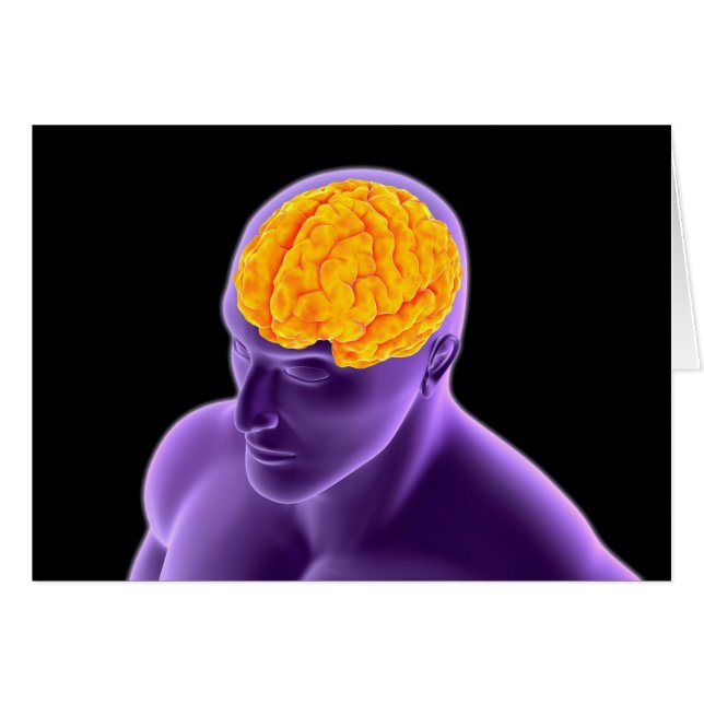 Konzeptuelles Bild des menschlichen Gehirns 8 (Vorderseite (Horizontal))