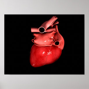 Konzeptuelles Bild des menschlichen Herzens 3 Poster