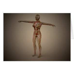 Konzeptuelles Bild des Nervensystems 2